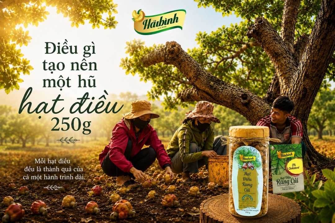 Điều gì tạo nên một hũ hạt điều 250g?