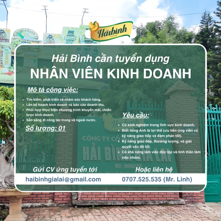 [Gia Lai] HẠT ĐIỀU HẢI BÌNH TUYỂN DỤNG NHÂN VIÊN KINH DOANH 