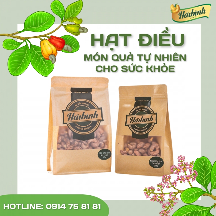 HẠT ĐIỀU HẢI BÌNH GIA LAI - MÓN QUÀ TỰ NHIÊN TỐT CHO SỨC KHỎE 