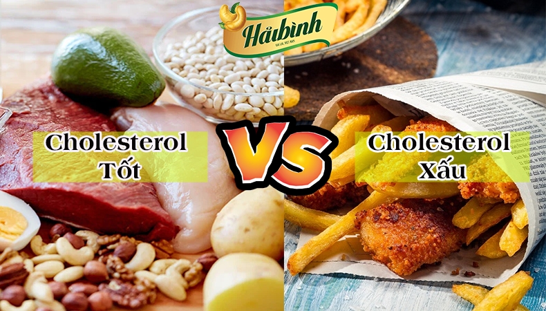 Những ăn nhiều Cholesterol bạn nên ăn và nên tránh