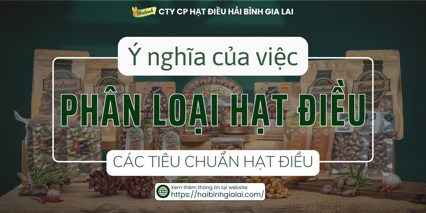 TẠI SAO HẢI BÌNH GIA LAI LUÔN ƯU TIÊN PHÂN LOẠI HẠT ĐIỀU TRƯỚC KHI ĐƯA RA THỊ TRƯỜNG? Ý NGHĨA CỦA VIỆC PHÂN LOẠI NÀY LÀ GÌ?