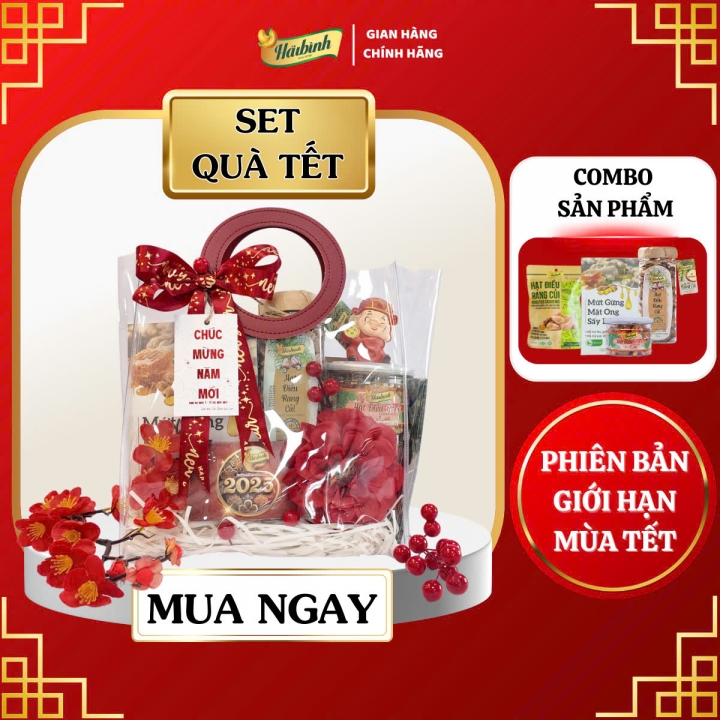 Tết Này Tặng Gì Cho Đối Tác Vừa Sang Trọng Vừa Hợp Túi Tiền? | Hạt điều Hải Bình Gia Lai