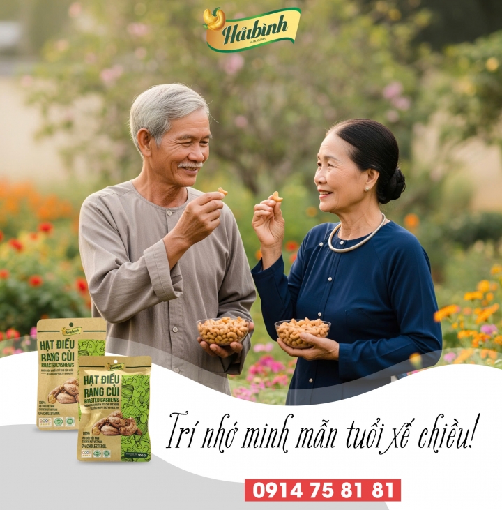 Trí Nhớ Minh Mẫn Tuổi Xế Chiều – Bí Quyết Dinh Dưỡng Từ Hạt Điều